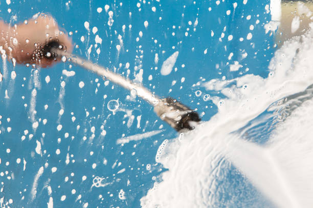 Animal Enclosure Cleaning in Pagedale, MO